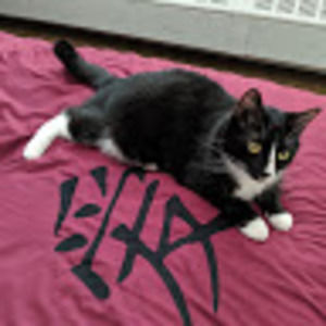 Meet your Posher, Christopher